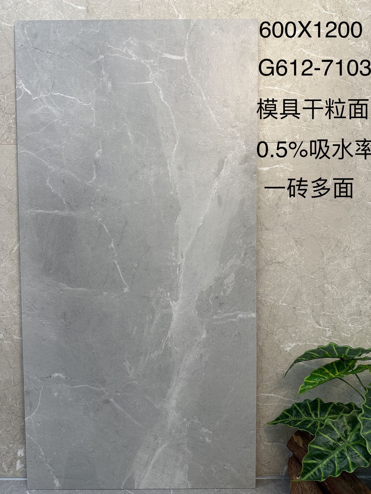 贝斯G612-7103 起伏模具面  通体斑点底 一砖八面