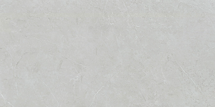 阿迪斯室内 砖数码釉精雕面 阿迪斯灰Y818-6572 一石五面 通体斑点底