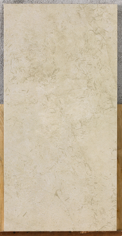 弗罗拉V12-81 干粒半抛面 通体斑点底