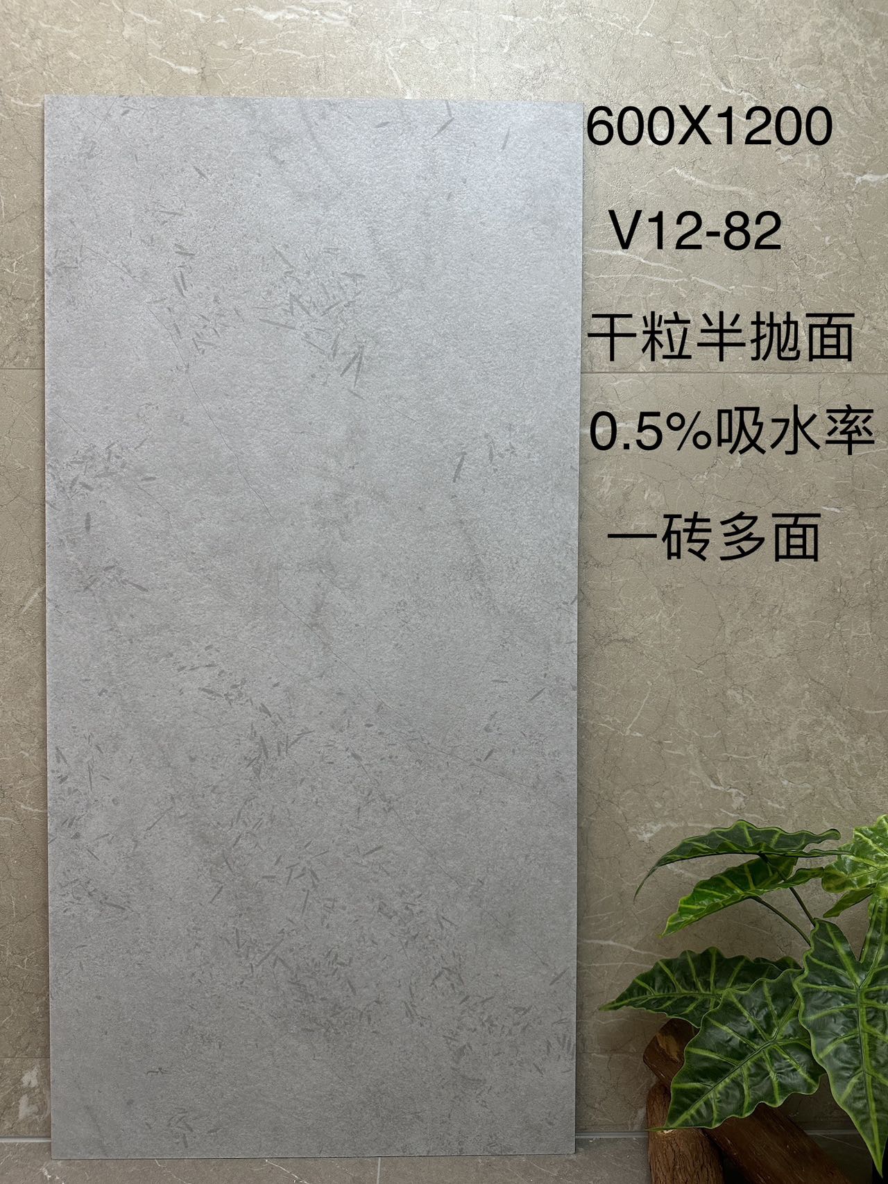 弗罗拉V12-82 干粒半抛面 通体斑点底