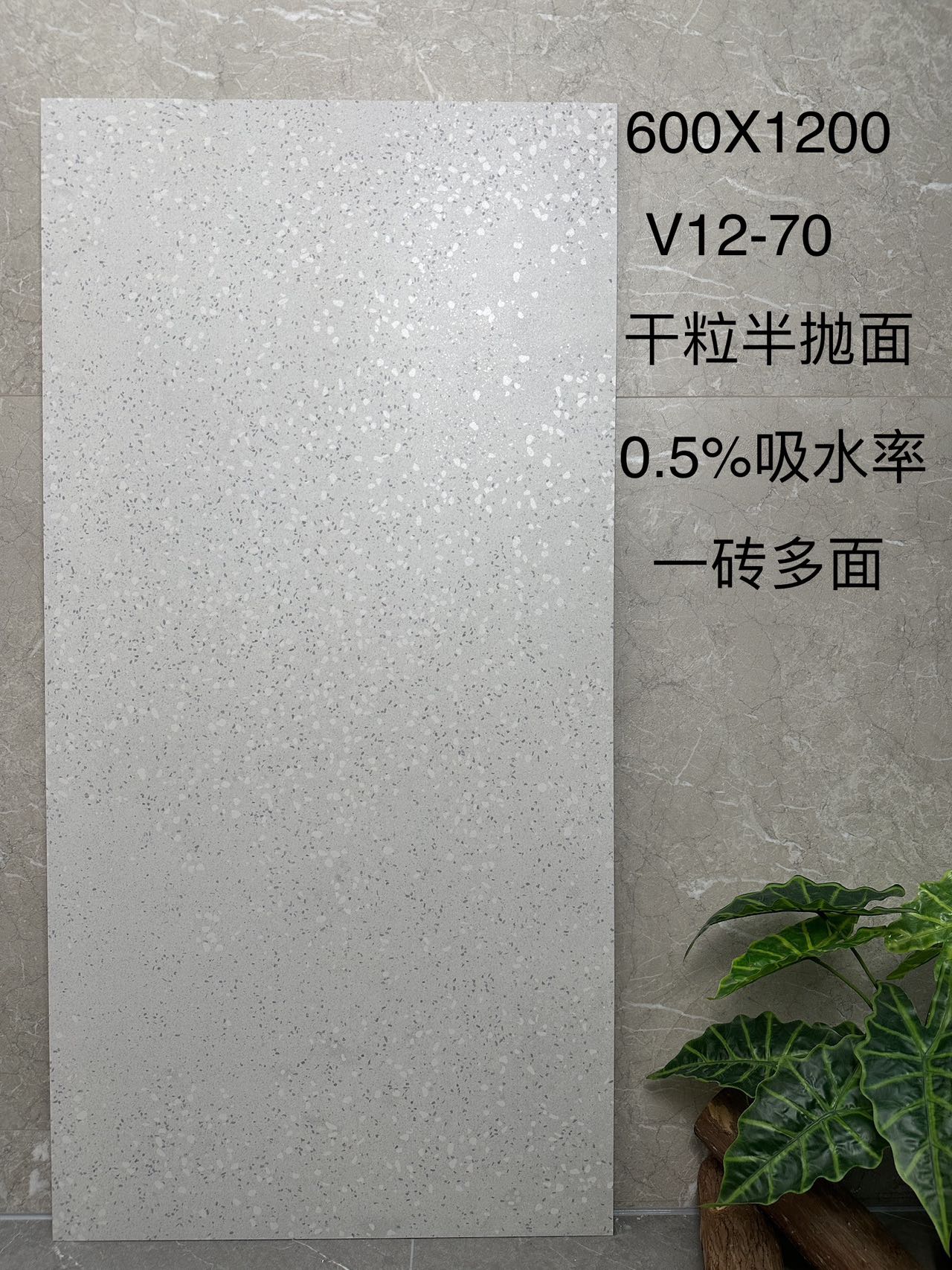 海伦V12-70 干粒半抛面 通体斑点底