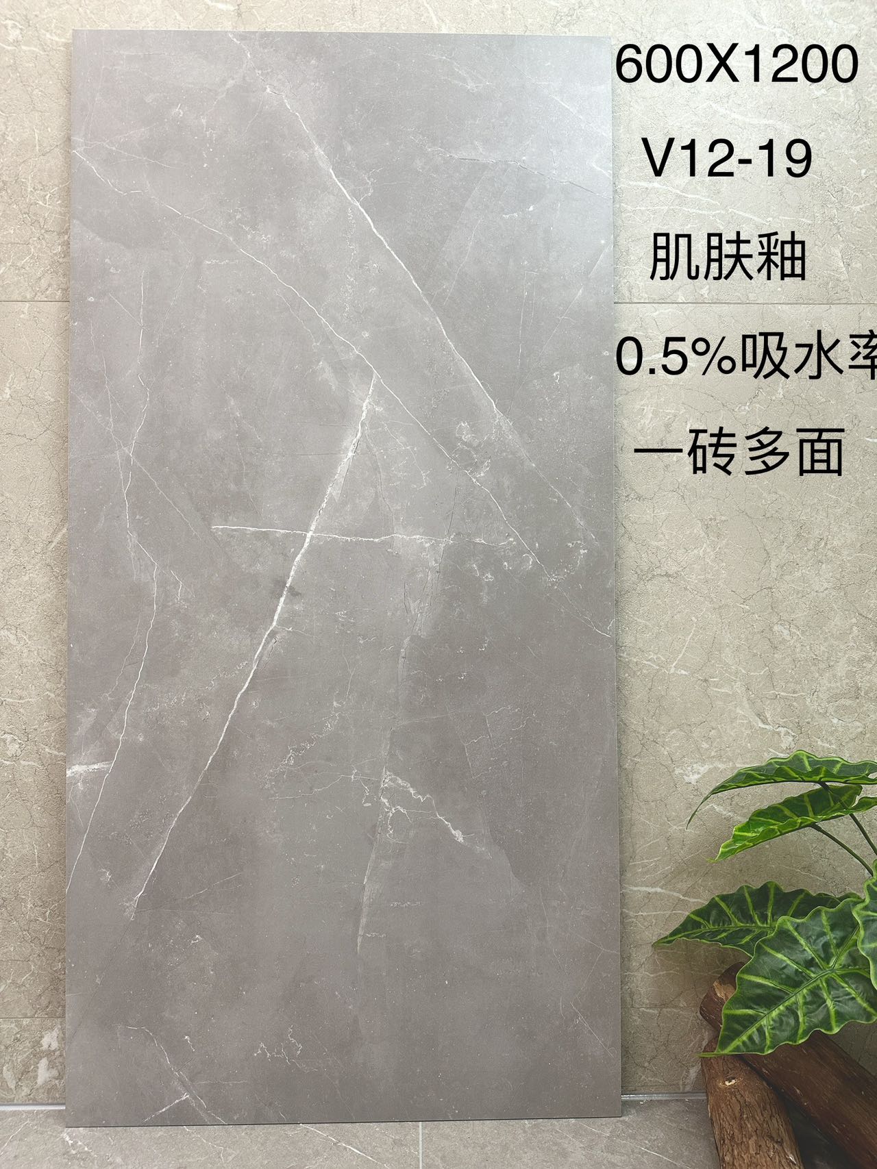 英伦灰V12-19 肌肤釉  一砖多面