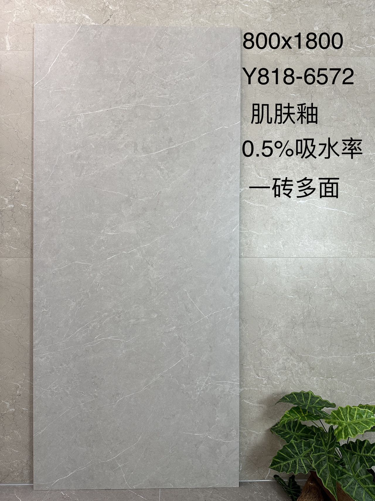 阿迪斯室内 砖数码釉精雕面 阿迪斯灰Y818-6572 一石五面 通体斑点底