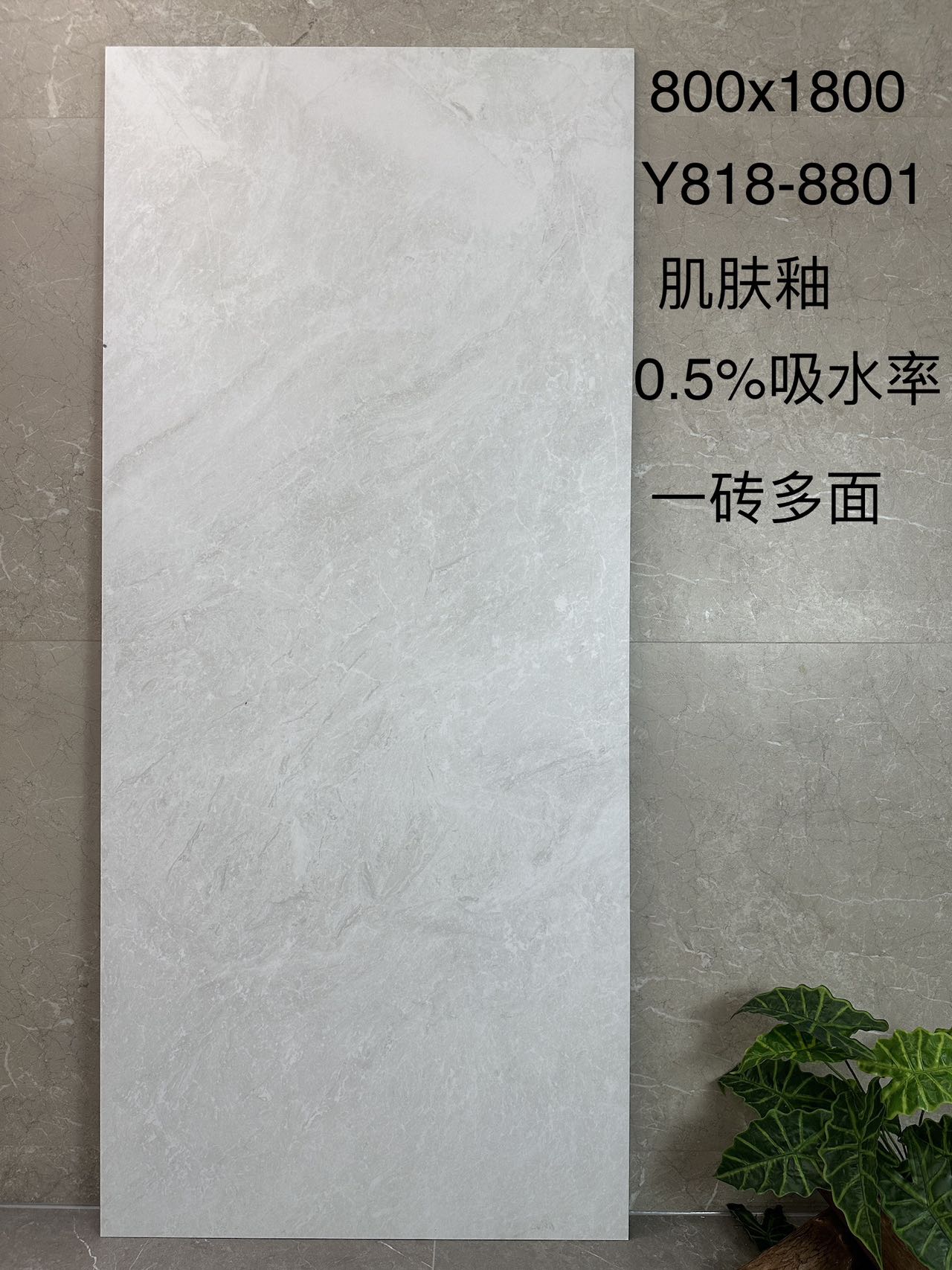 阿迪斯室内砖 数码釉精雕面 太空石Y818-8801 一石多面 通体斑点底 0.5%吸水率