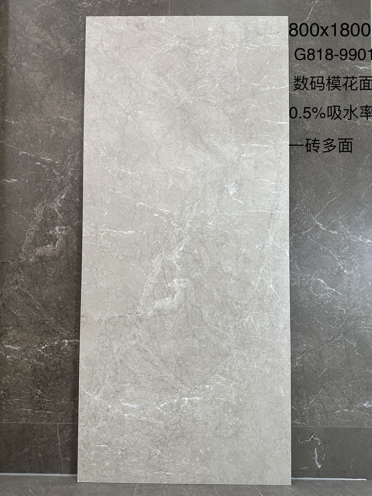 阿迪斯室内砖 数码模花臻石面 星际石G818-9901一石多面 通体斑点底 0.5%吸水率