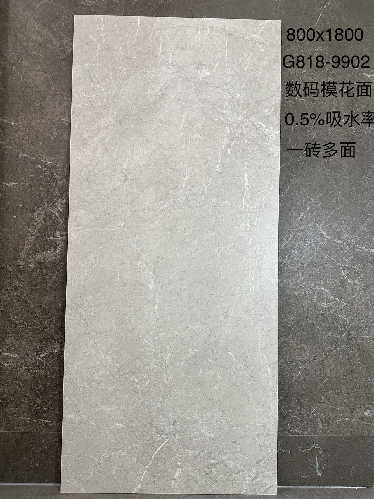 阿迪斯室内砖 数码模花臻石面 星际石G818-9902 一石多面 通体斑点底 0.5%吸水率