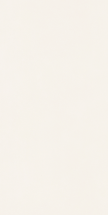 阿迪斯室内砖 普白坯 胖子灰微水泥Y715-2813 扫面工艺 一砖多面