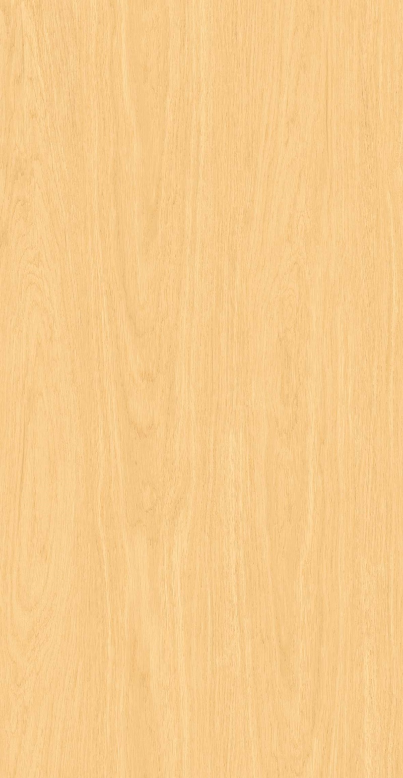 FP126608-初秋白杨_06