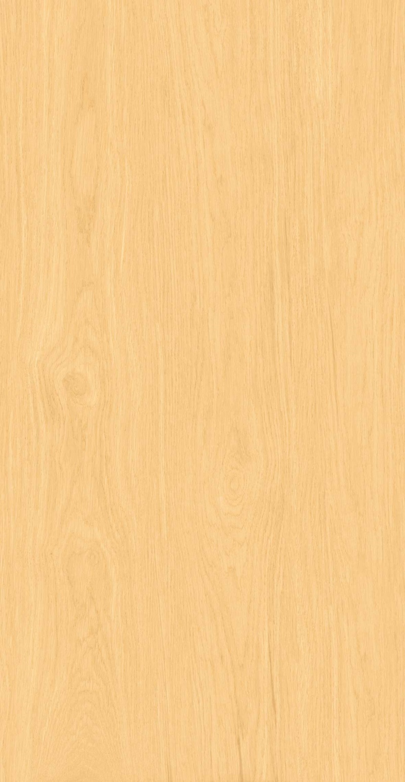 FP126608-初秋白杨_05