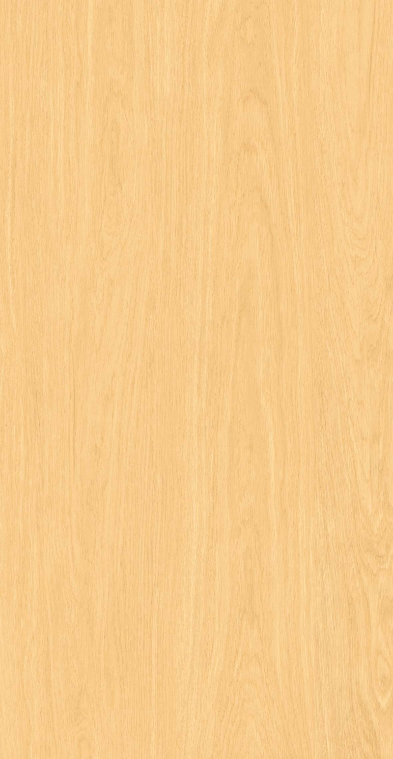 FP126608-初秋白杨_01