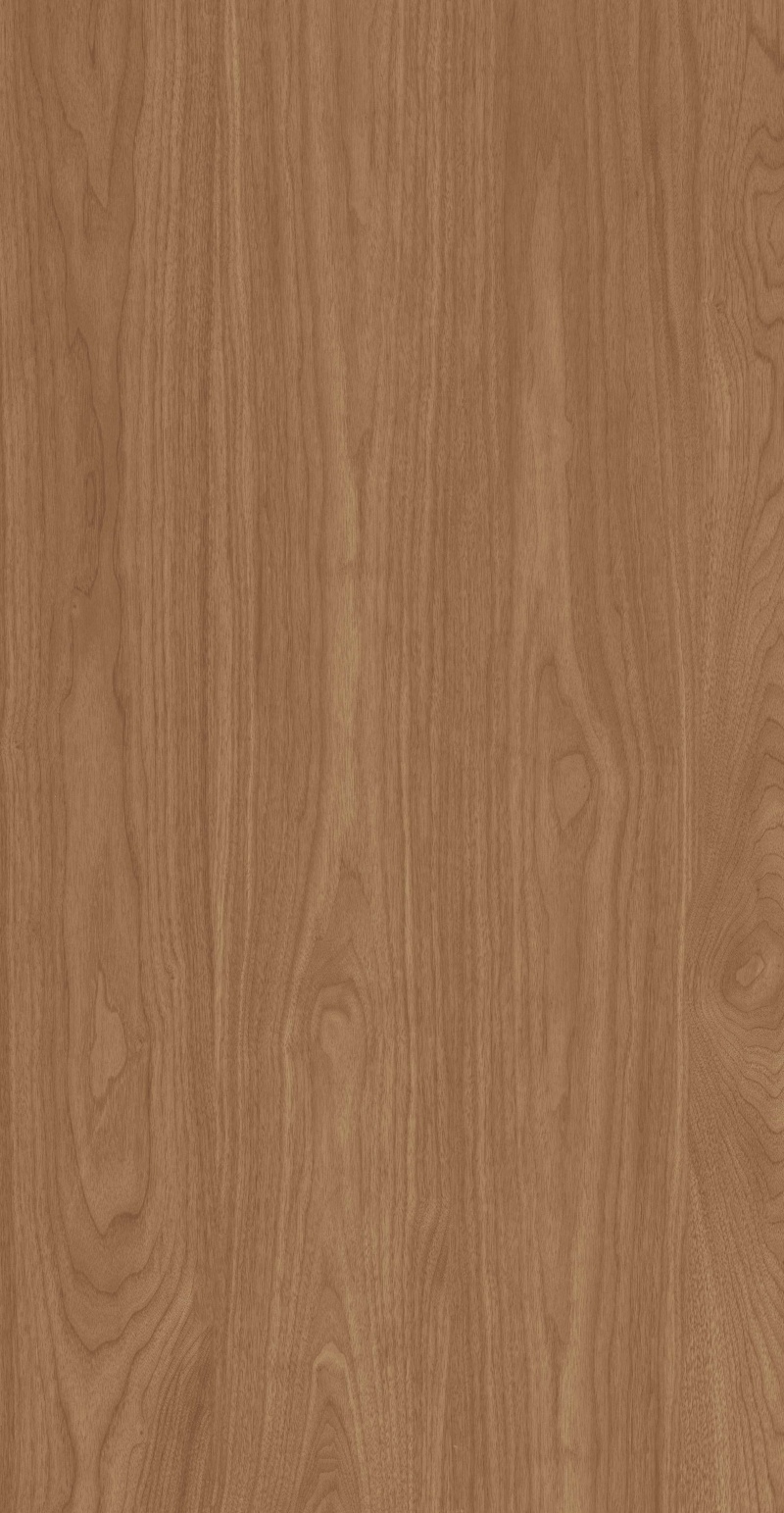 FP126605-南亚桃木_04