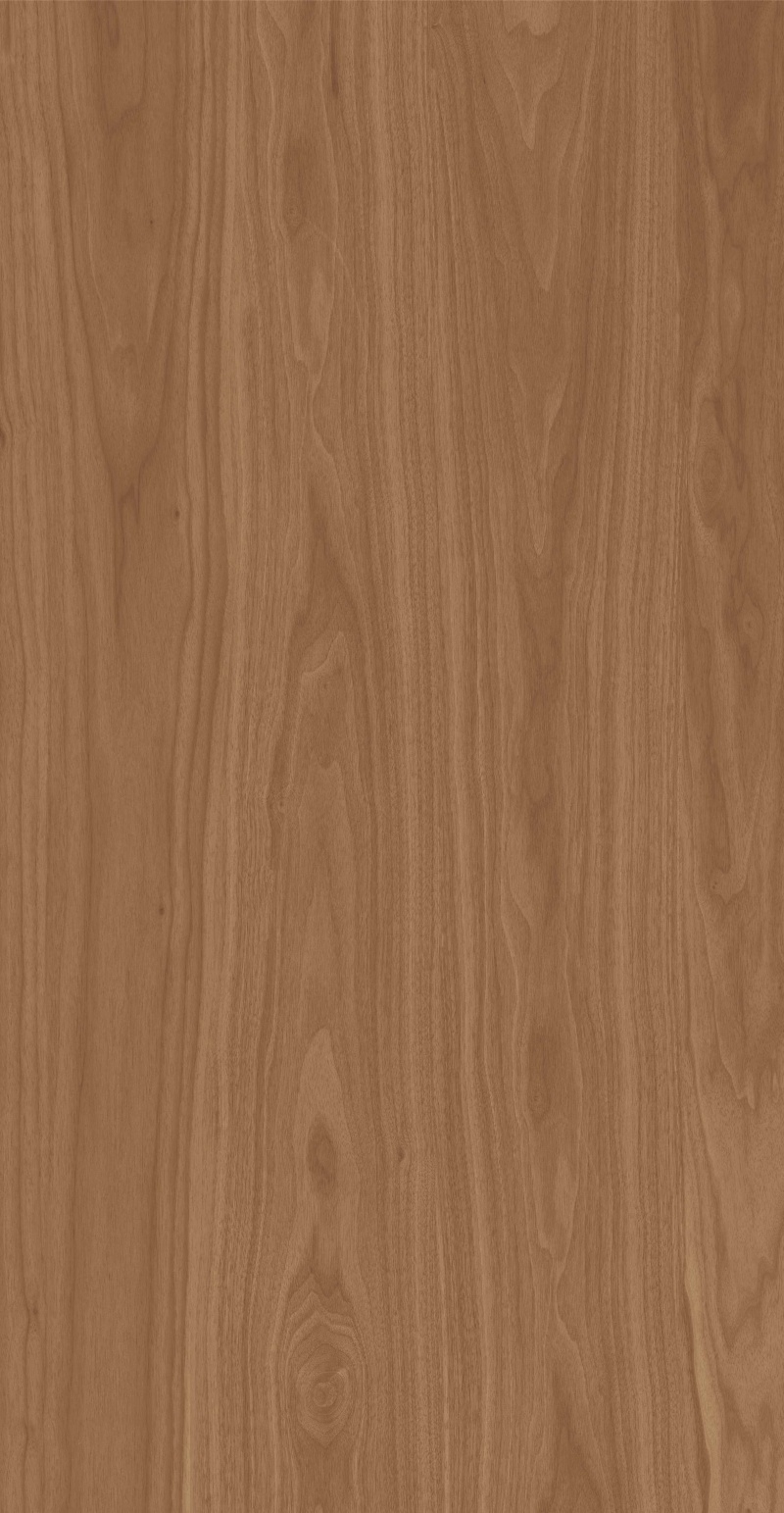 FP126605-南亚桃木_03