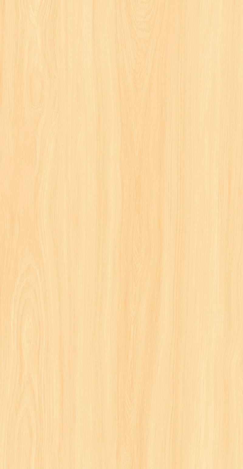 FP126601-暮黄梧桐_04