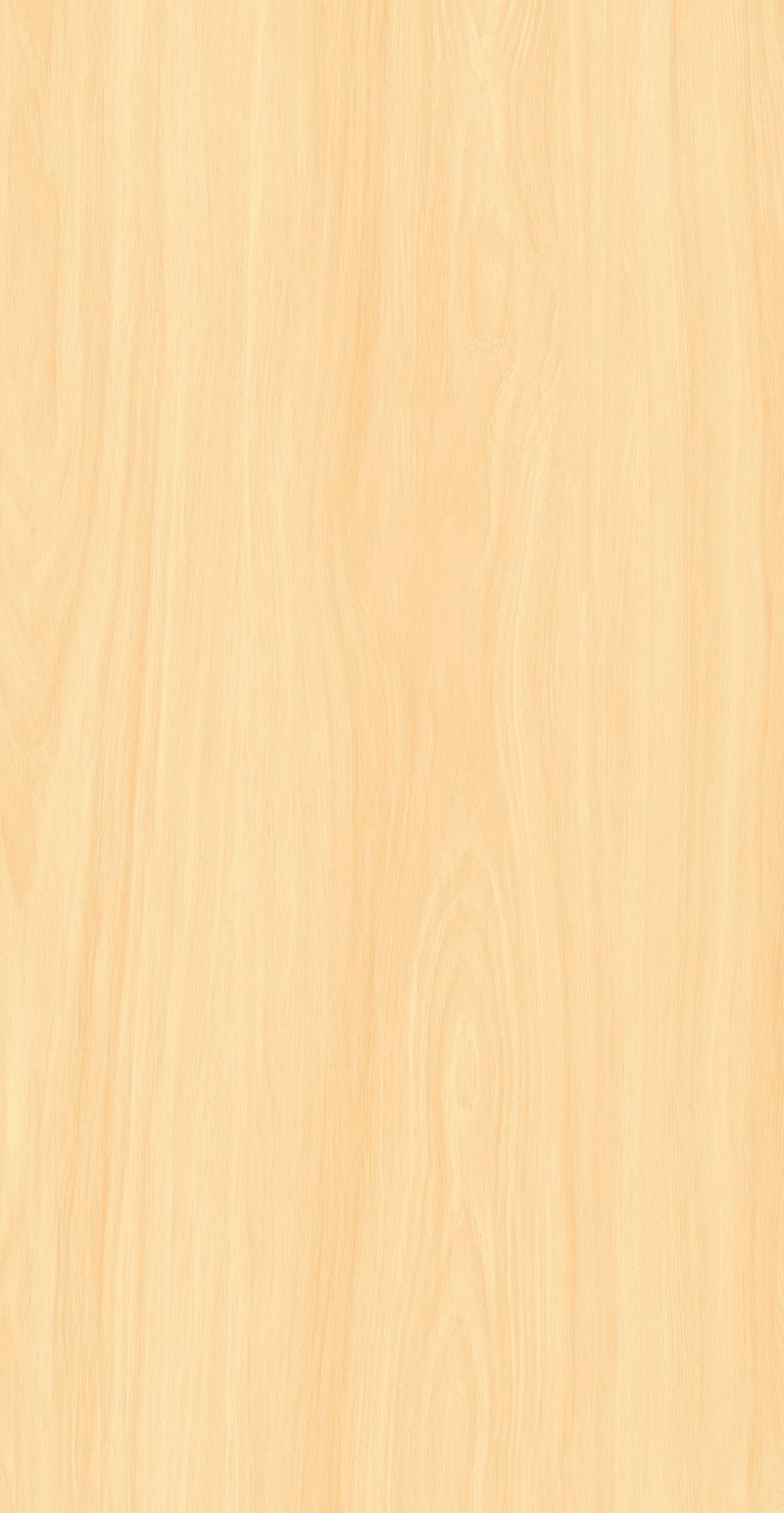 FP126601-暮黄梧桐_03