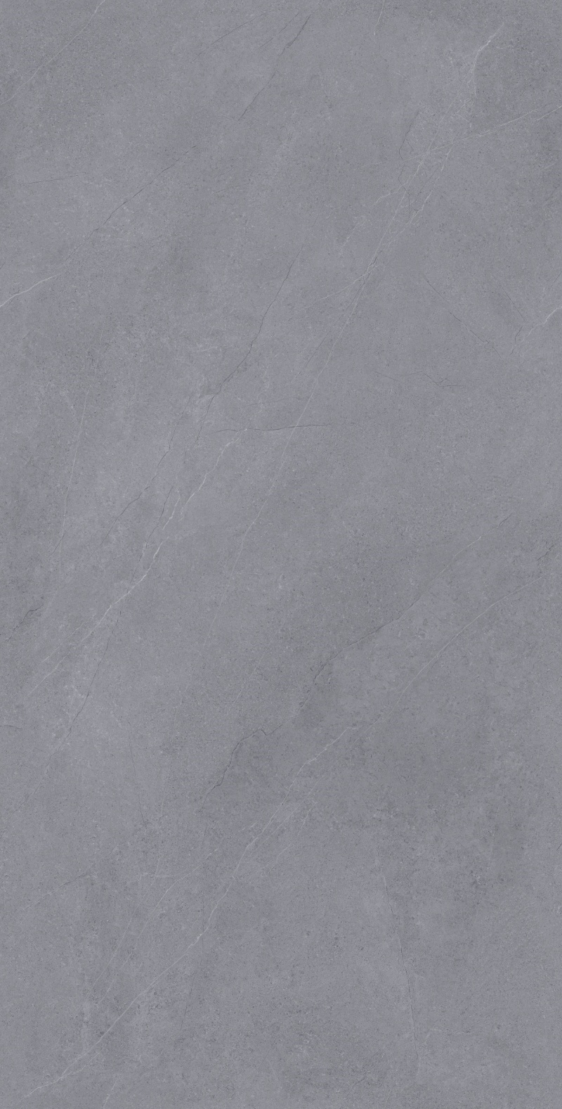 SR918173-寒江岩-4