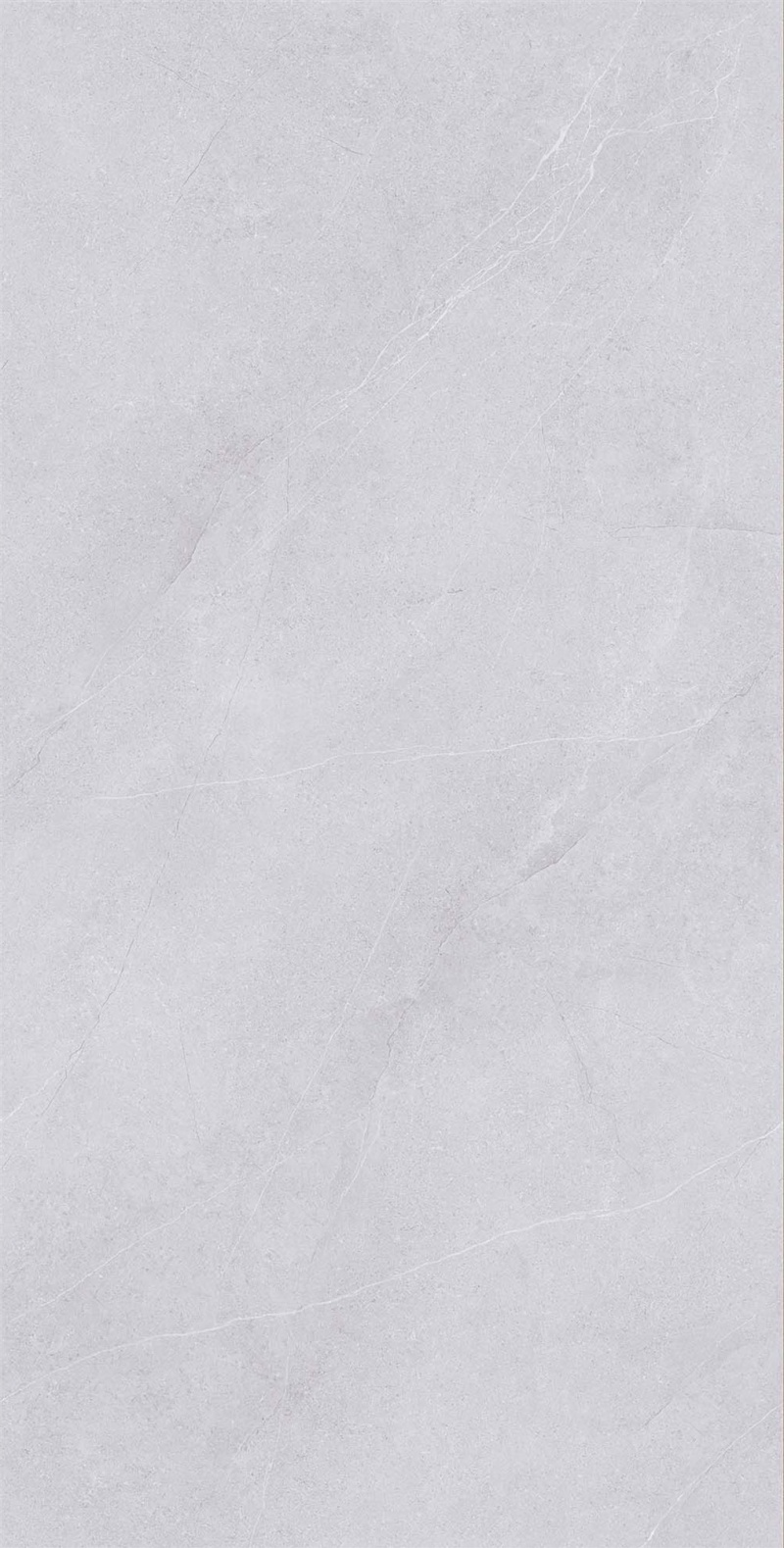 SR918172-碧江岩-3.3