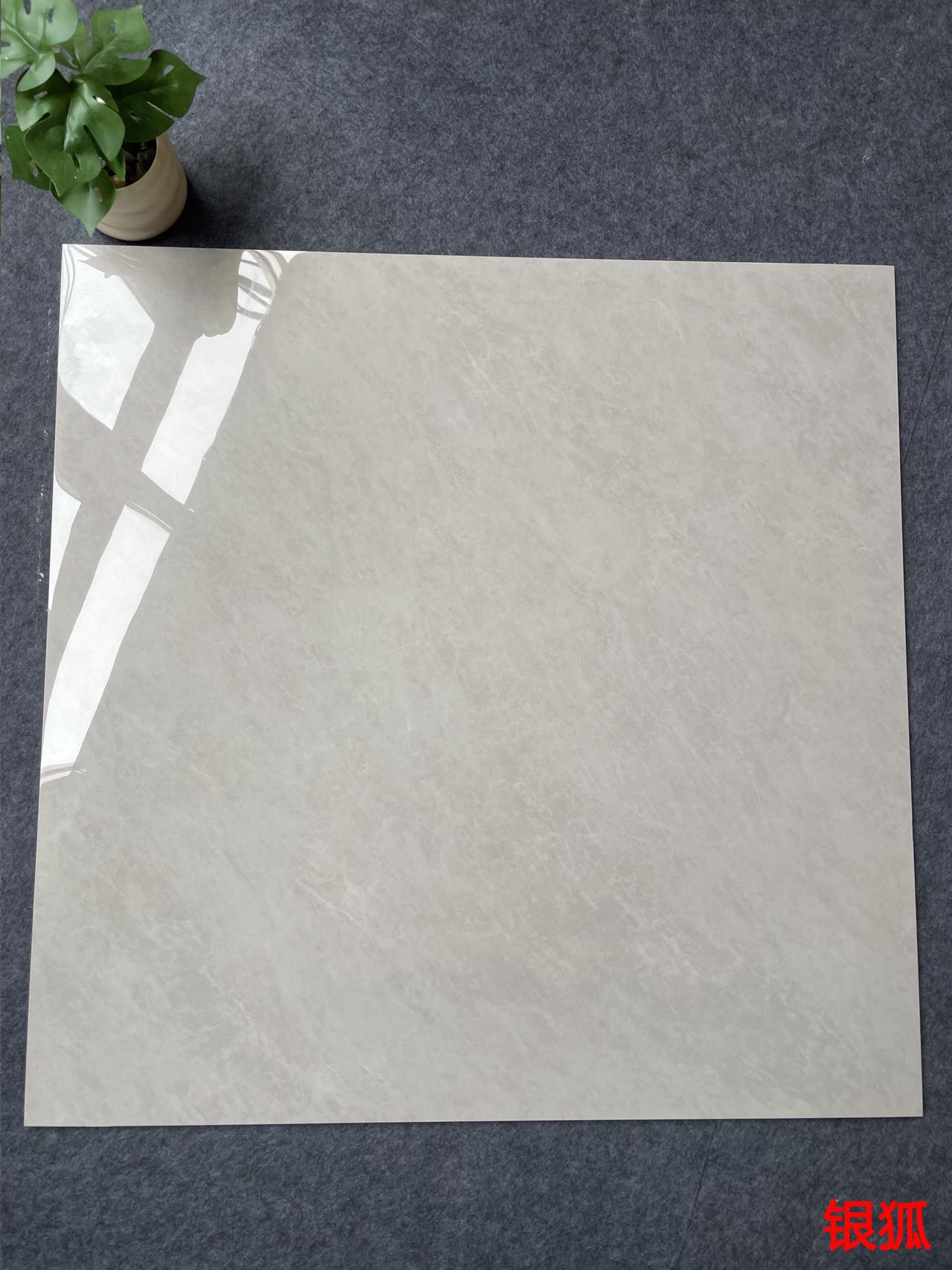 亮光 金刚通体大理石 GT8876银狐一石五面 自由连纹 亮光通体