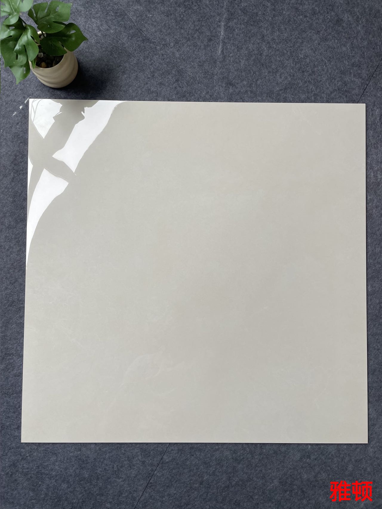 亮光 金刚通体大理石 GT8901雅顿 一石五面 自由连纹 亮光通体