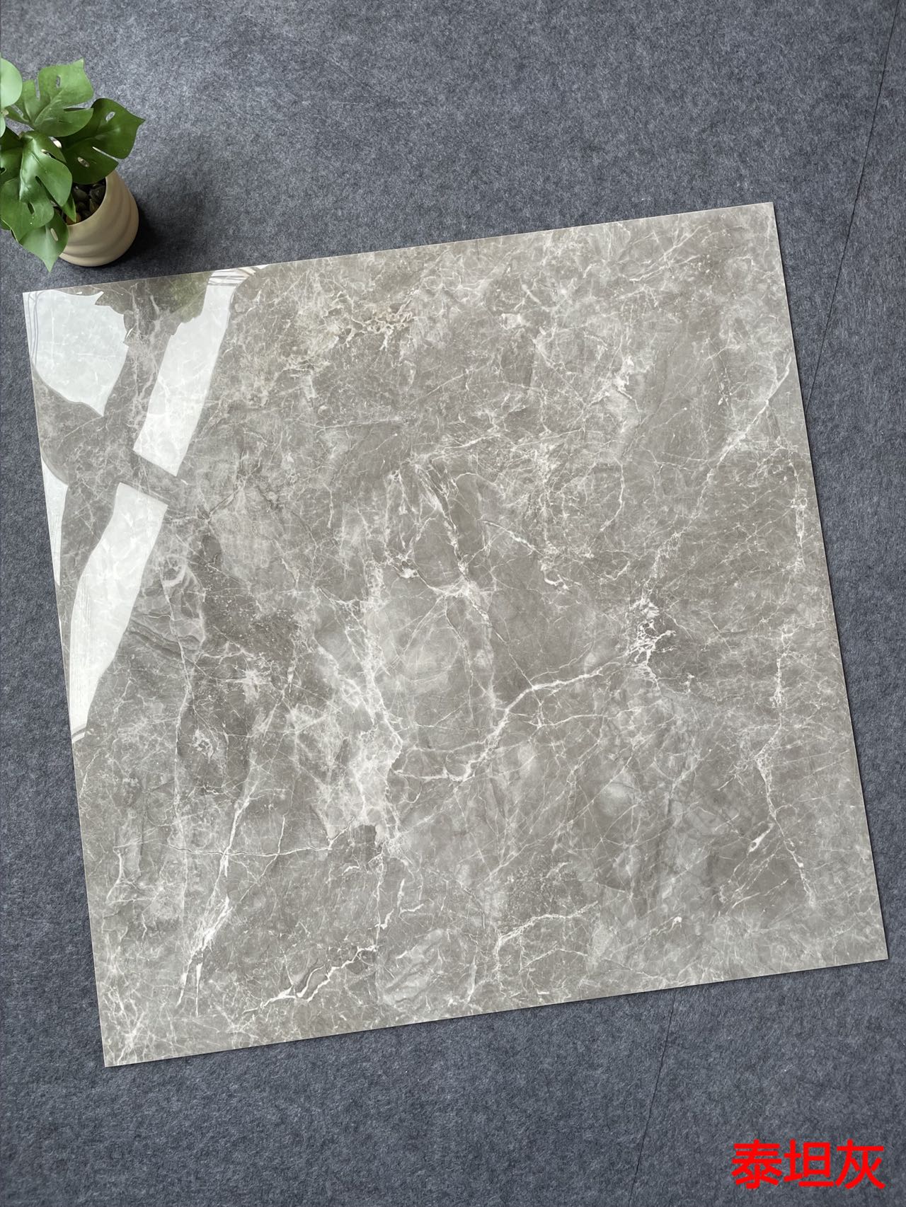 亮光 金刚通体大理石 GT8851泰坦灰 一石五面 自由连纹 亮光通体