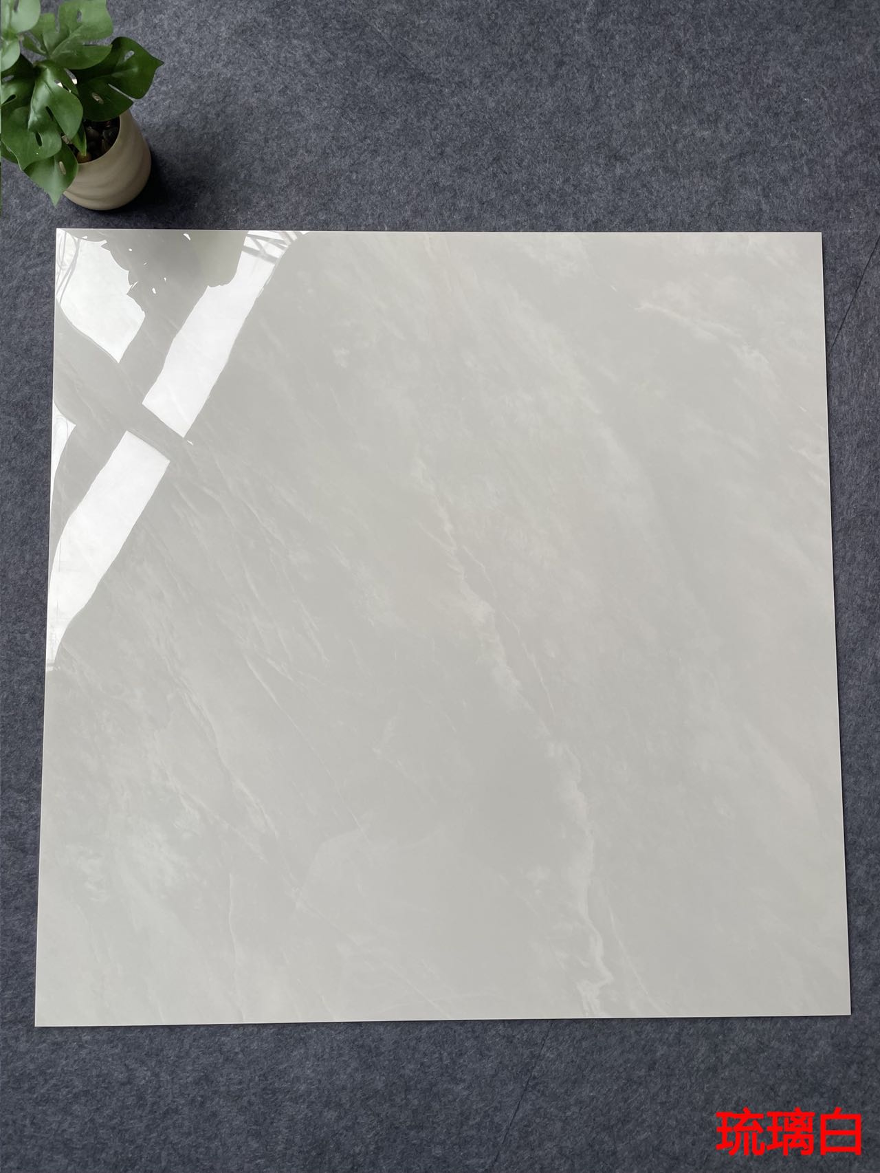 亮光 金刚通体大理石 GT8890琉璃白 一石五面 自由连纹 亮光通体