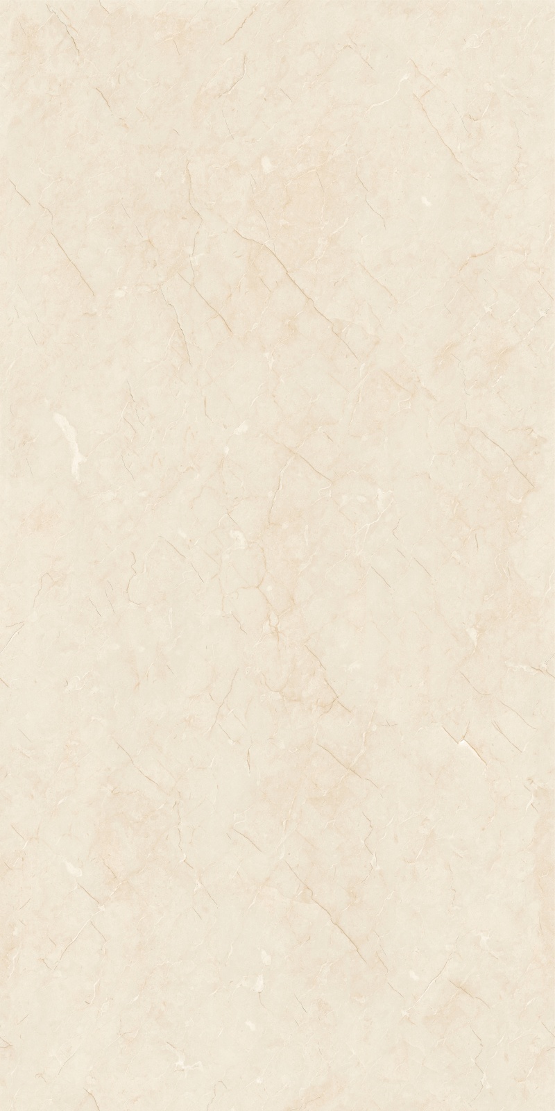 GT715105H极品莎安娜-3