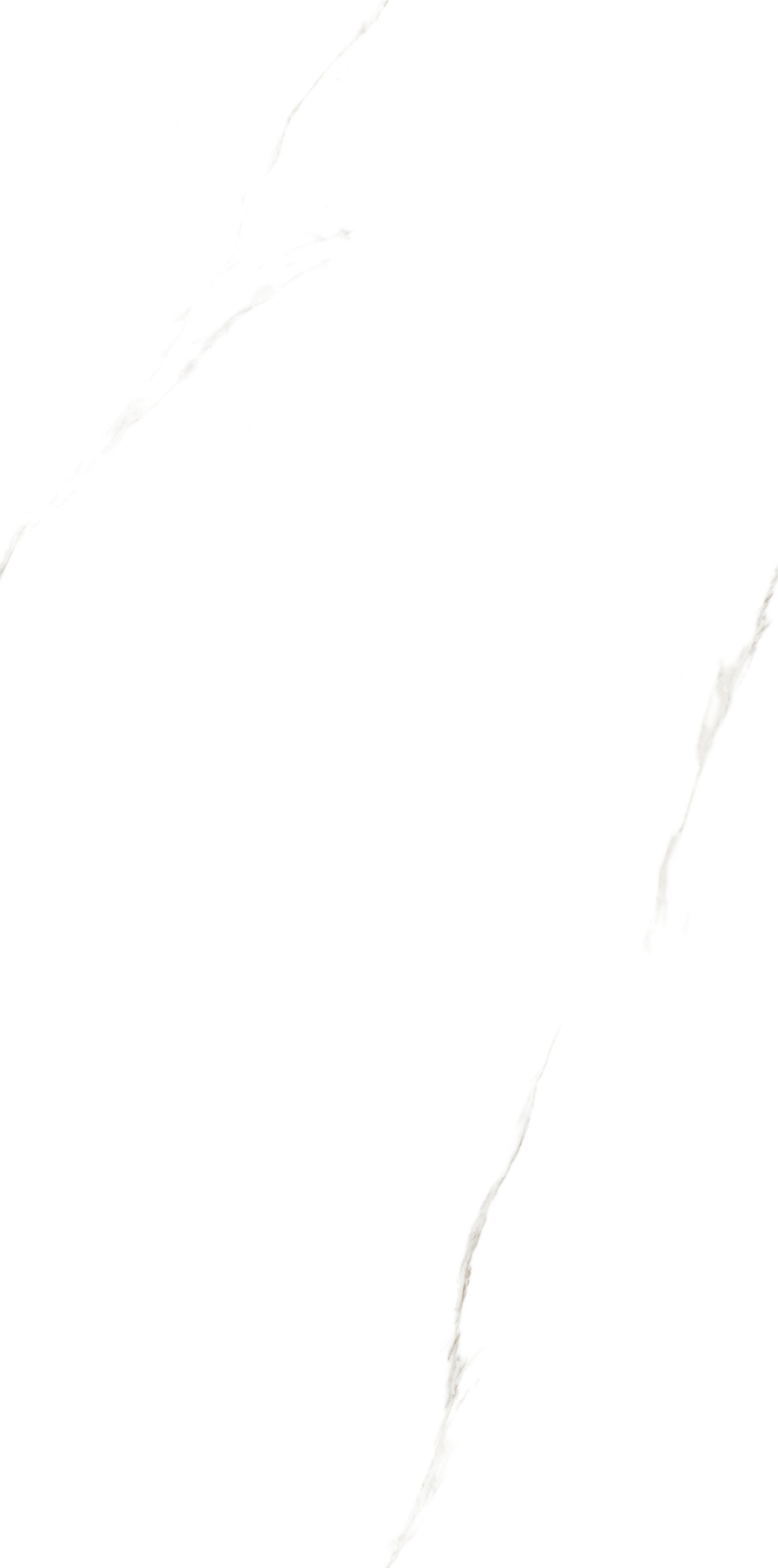 JM61201-冰岛白 (1)