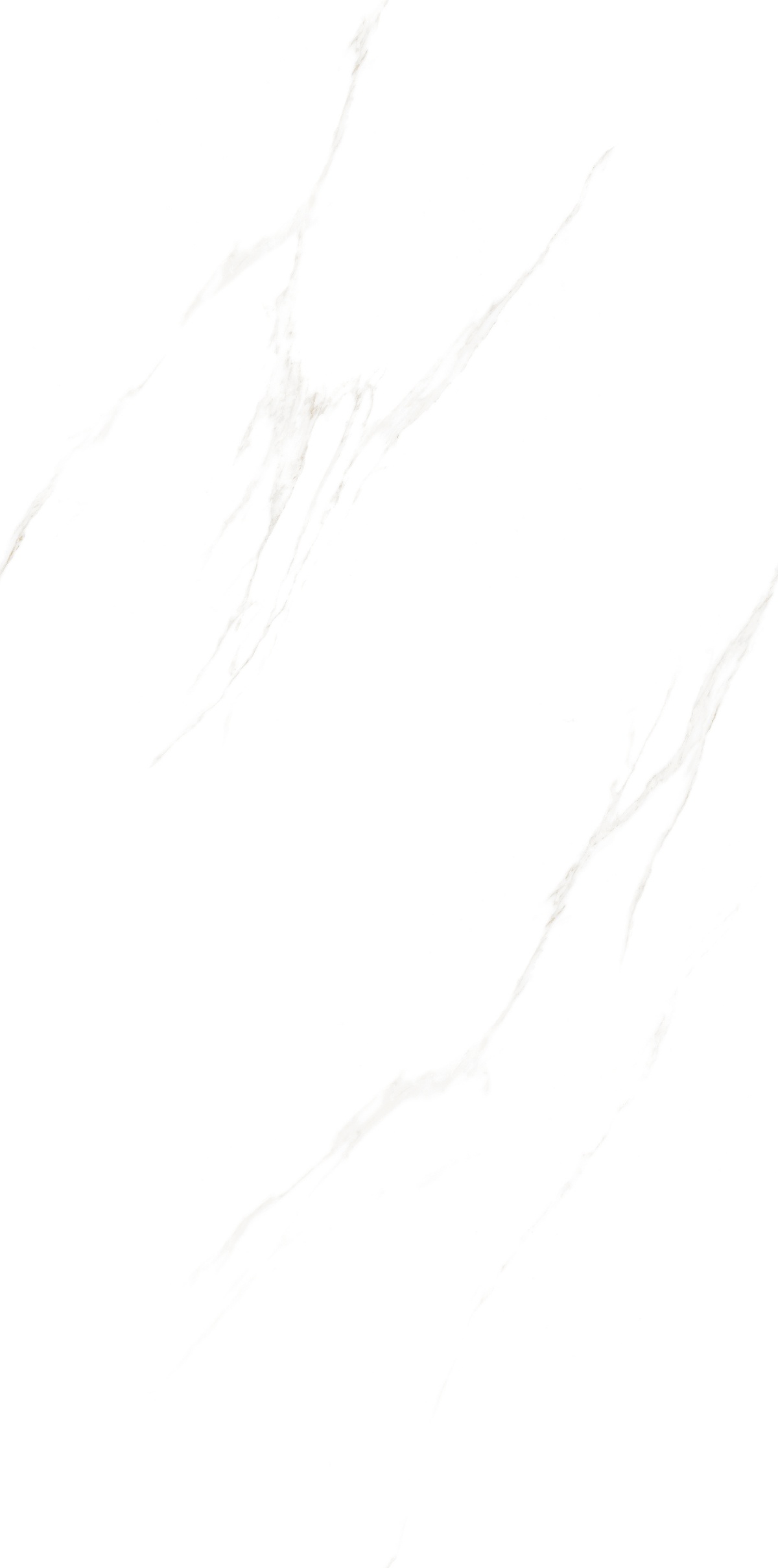 JM61201-冰岛白 (3)