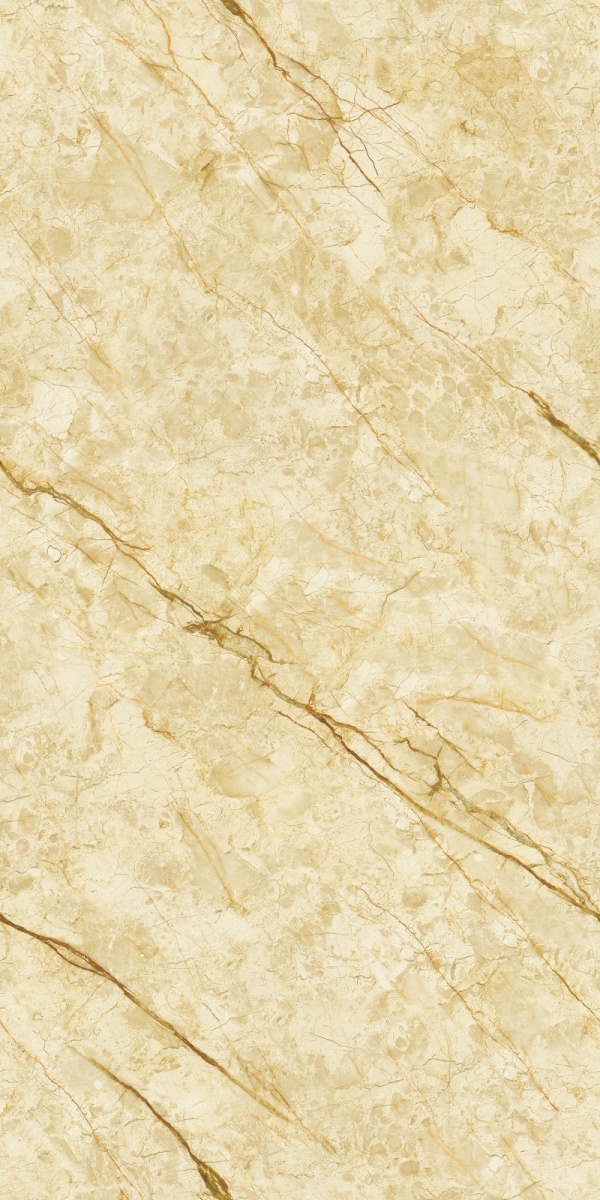 999K126005 威尼斯金-4