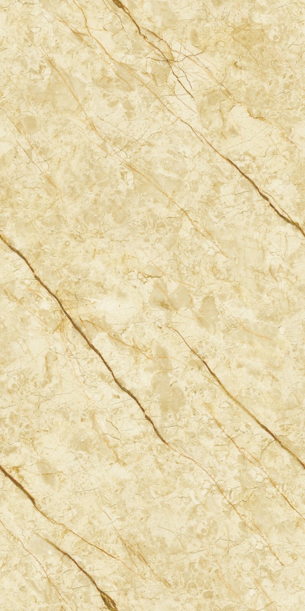 999K126005 威尼斯金-5