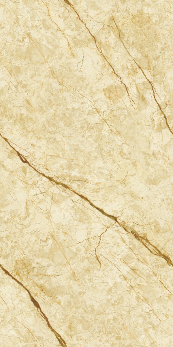 999K126005 威尼斯金-2