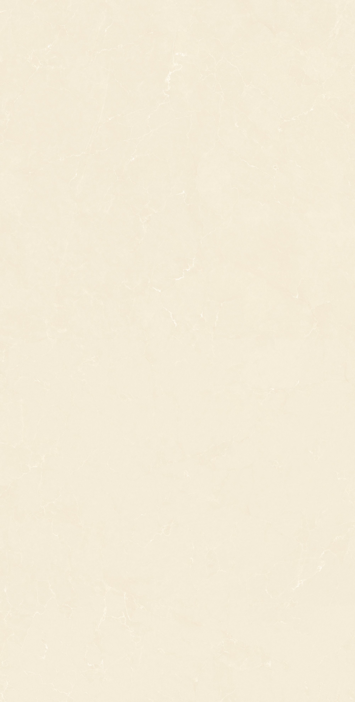 612GT117 经典莎安娜 (2)