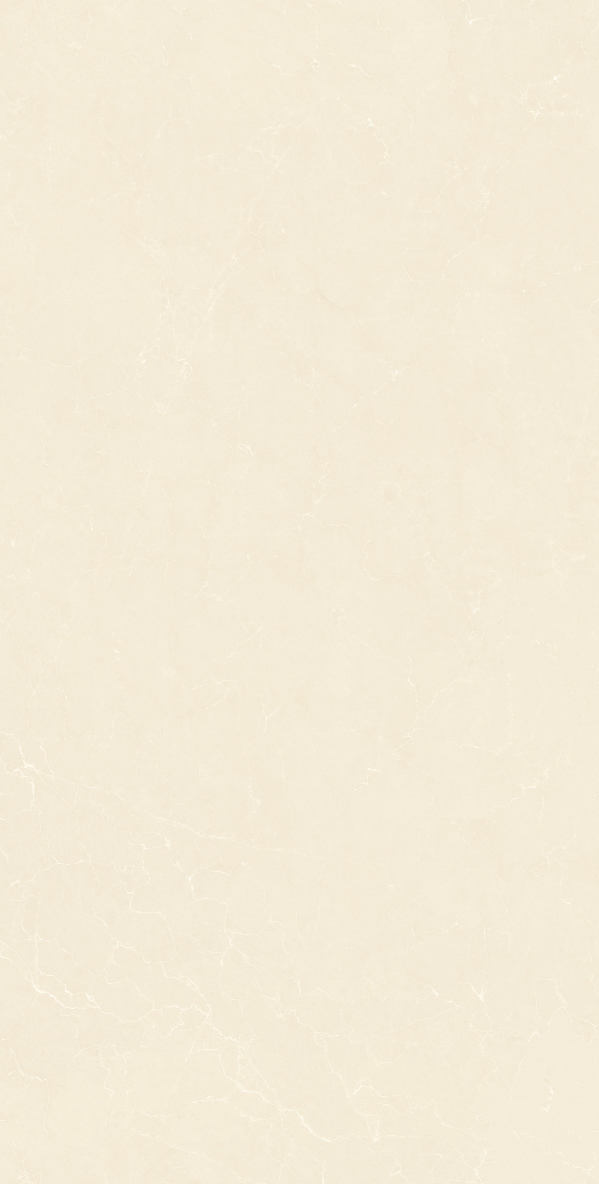 612GT117 经典莎安娜 (3)