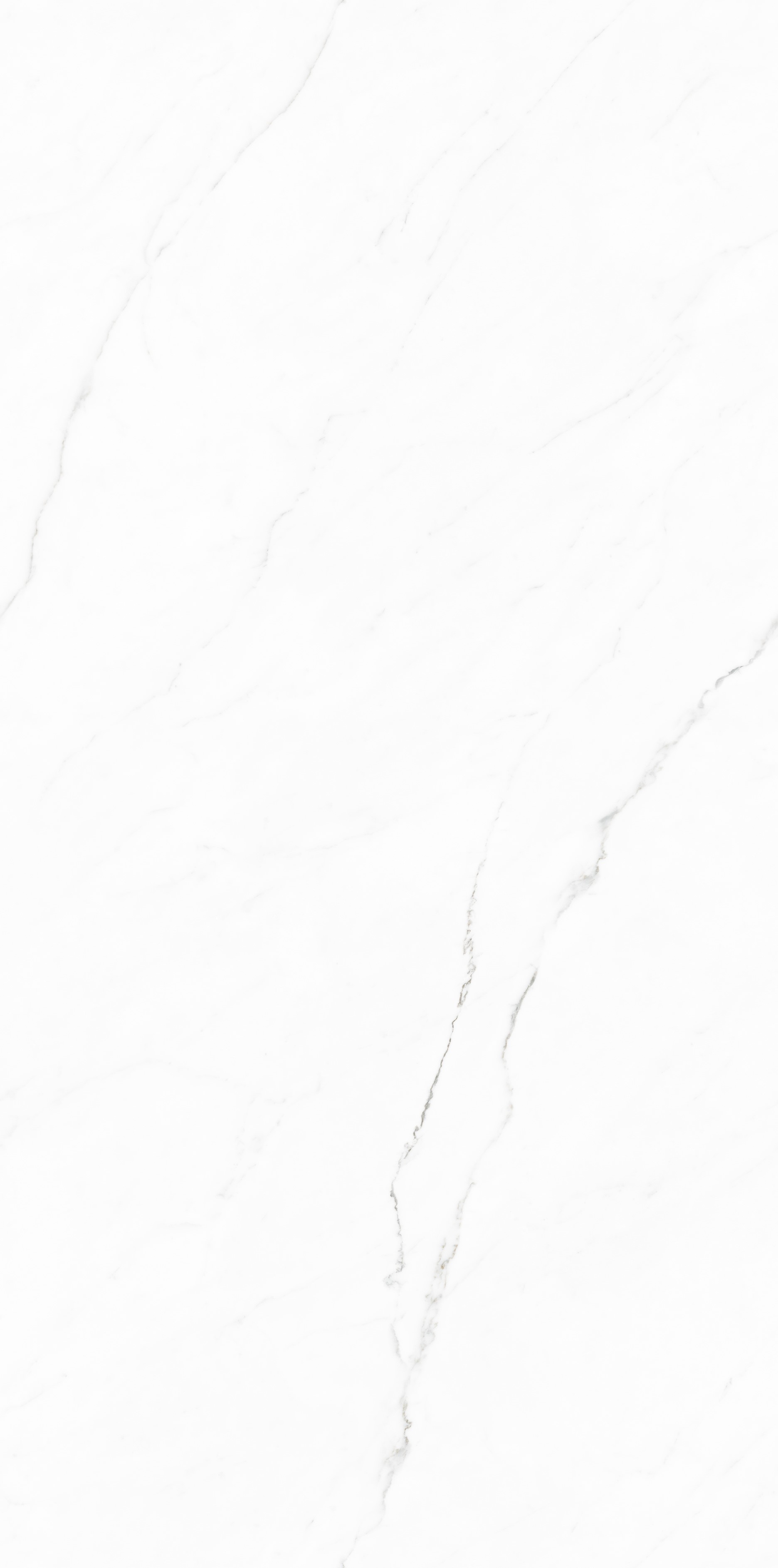 TC126308-白水晶-5