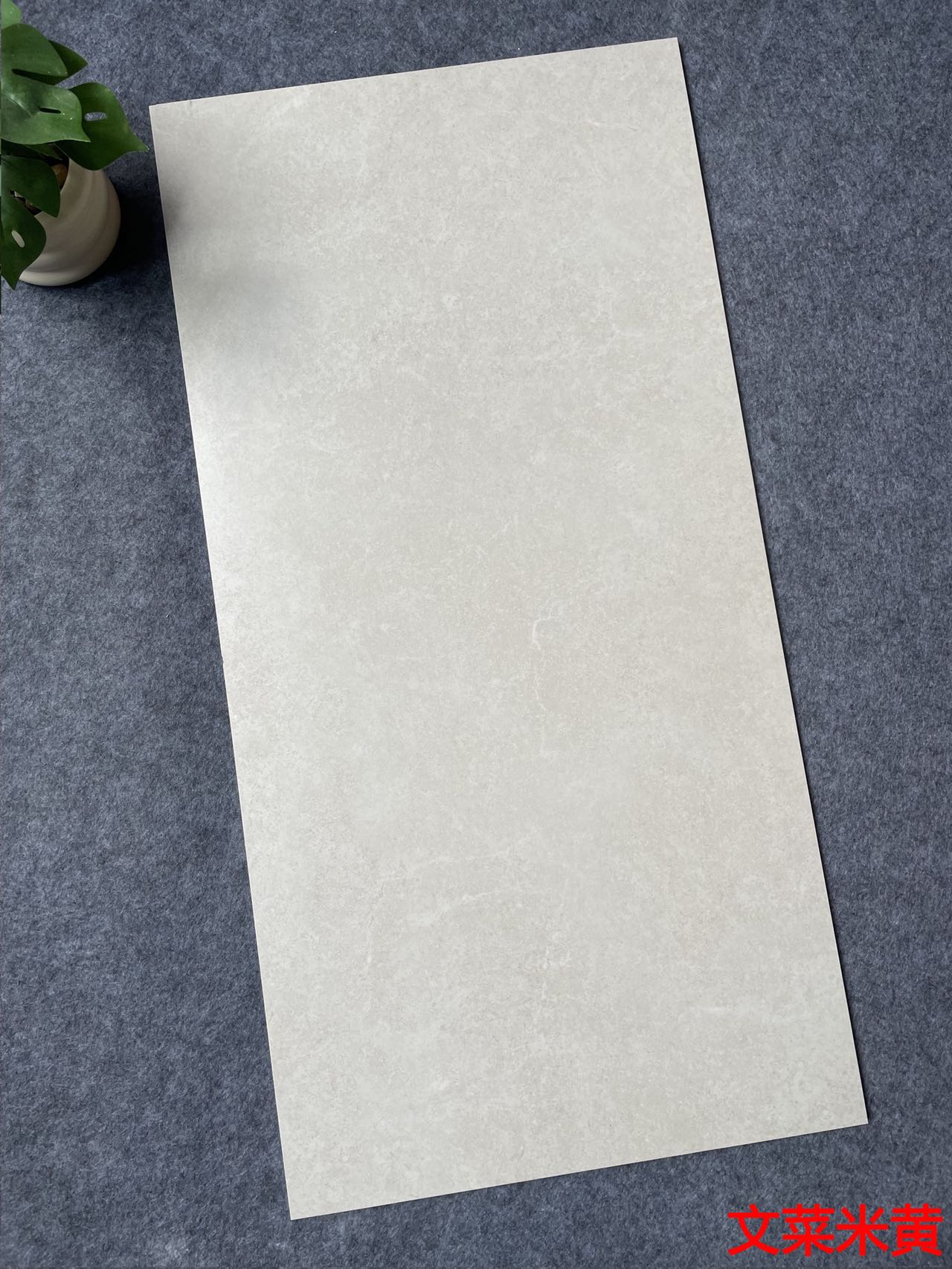 哑光 超耐磨素色  NS4811M文莱米黄 一石四面 自然切面 肌肤釉 15°柔光 4级超耐磨 0.04%超低吸水率