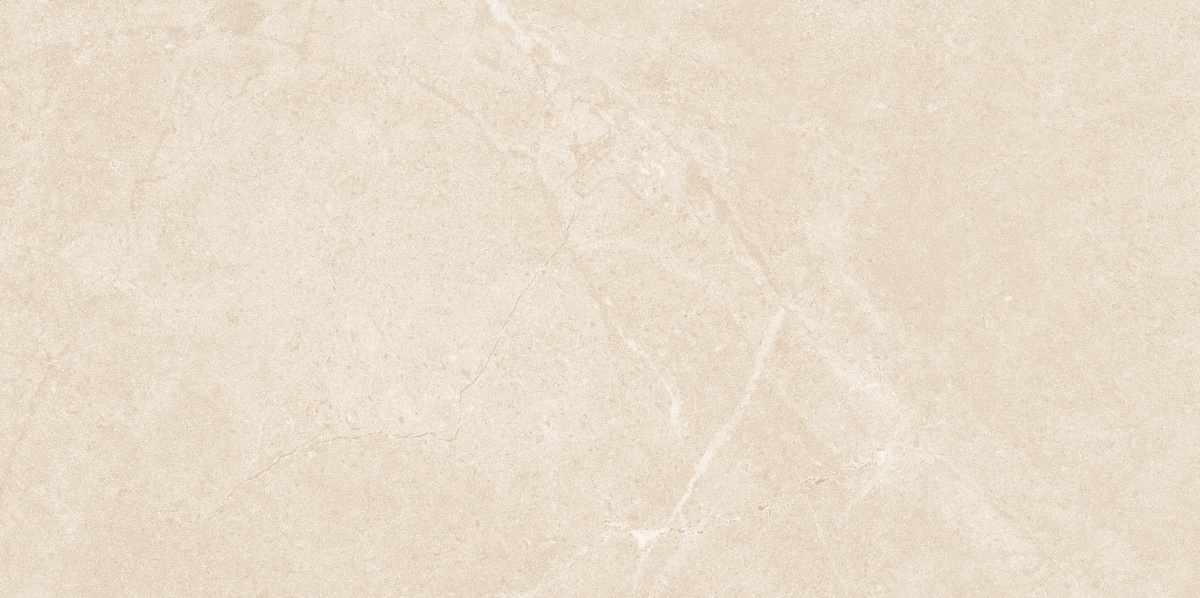 NS4811M-文莱米黄-2