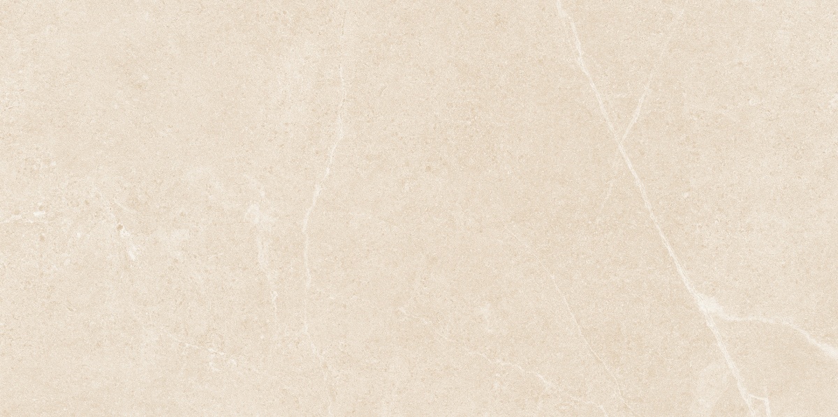 NS4811M-文莱米黄-3