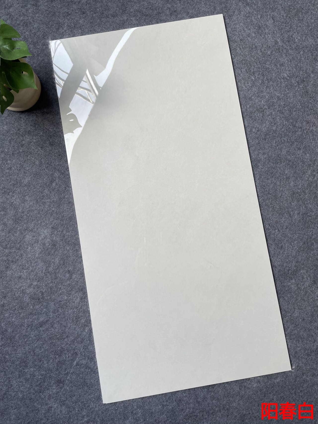 亮光 通体大理石 GT48610阳春白 一石七面 自然切面 亮光通体中板