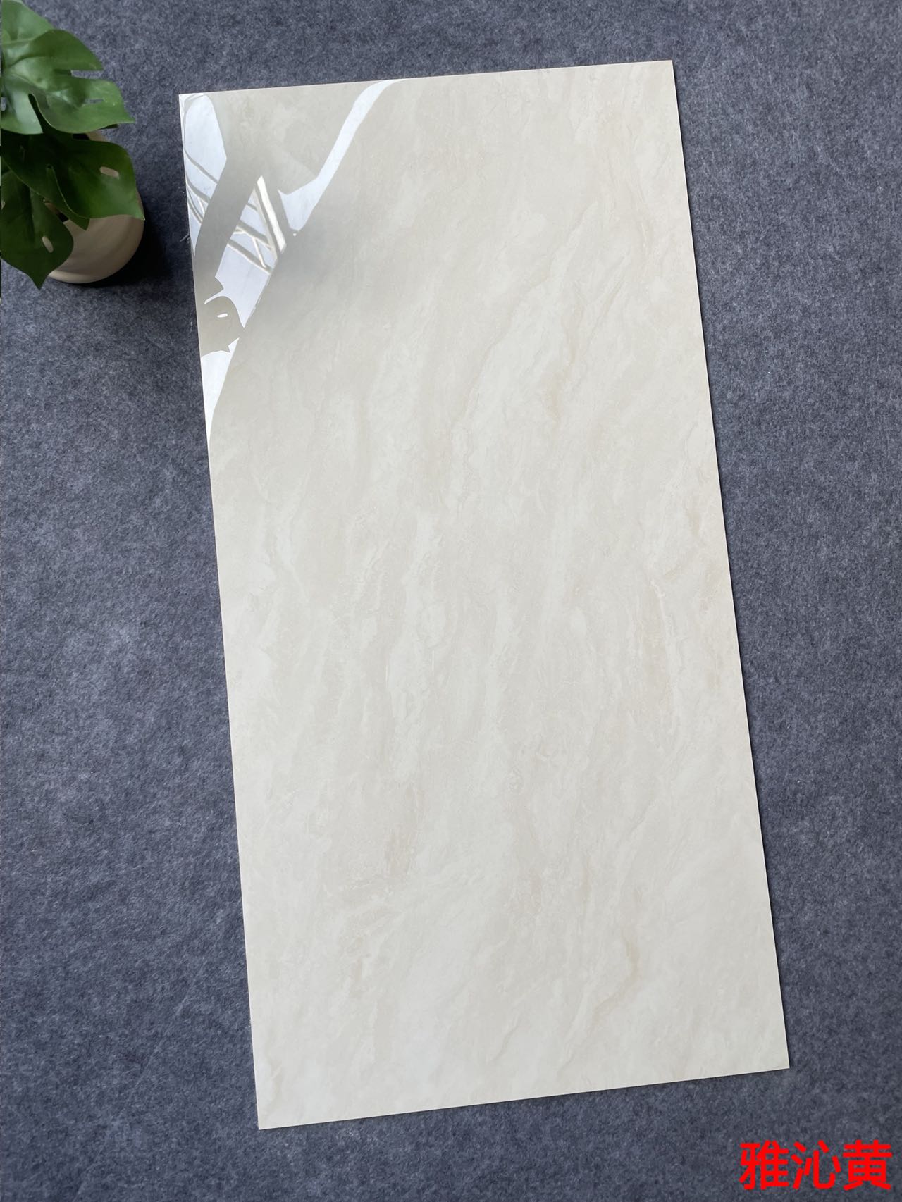 亮光 通体大理石 GT48605雅沁黄 一石五面 自由连纹 亮光通体中板