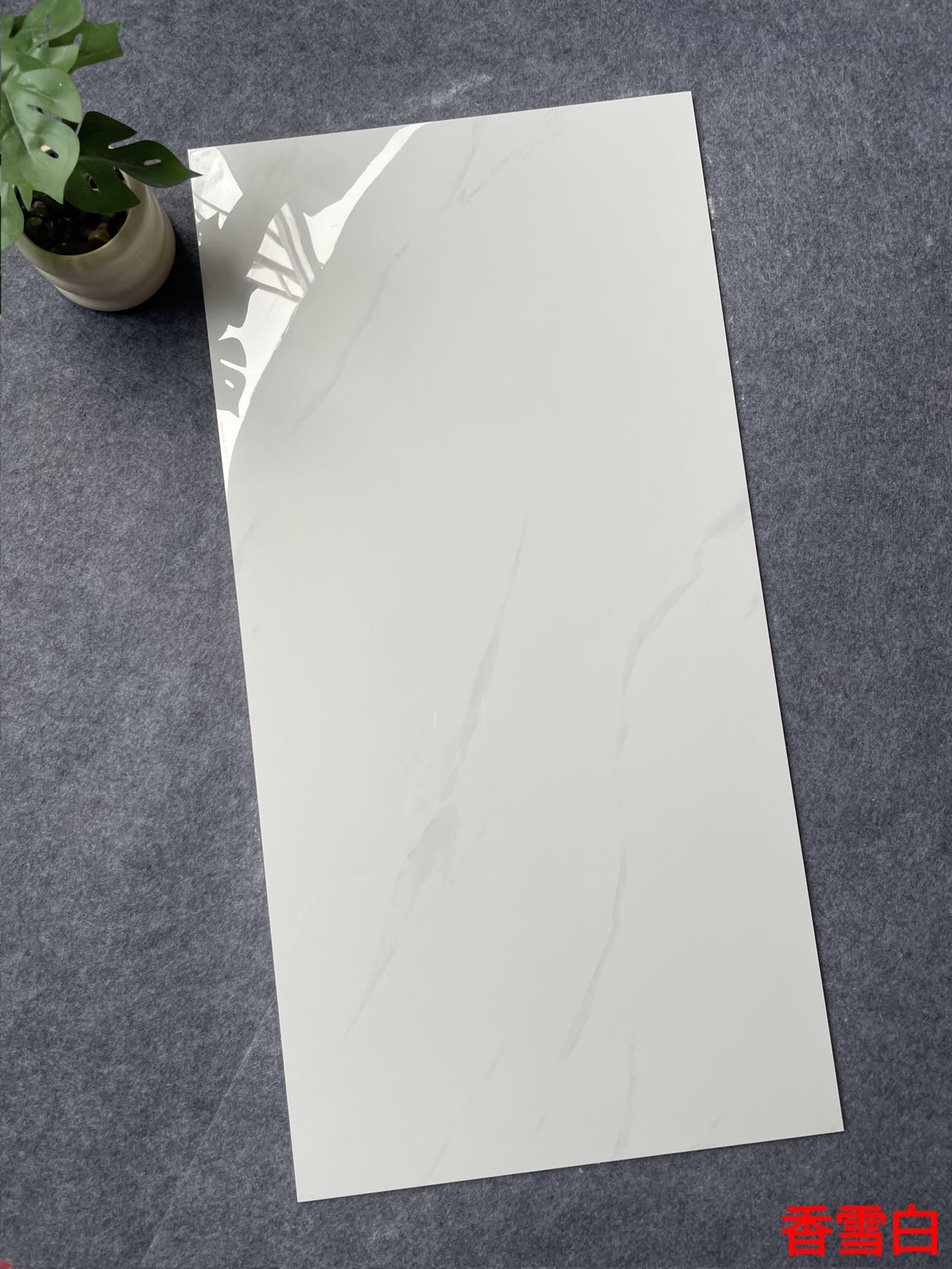 亮光 通体大理石 GT48603香雪白 一石五面 自由连纹 亮光通体中板